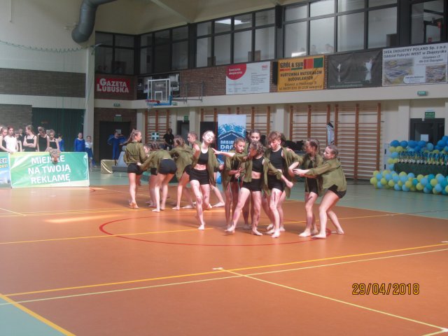 turta 363